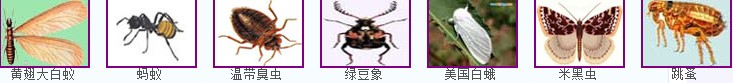 河源殺蟲公司提供最全害蟲大全